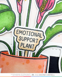 PLANT PICKS